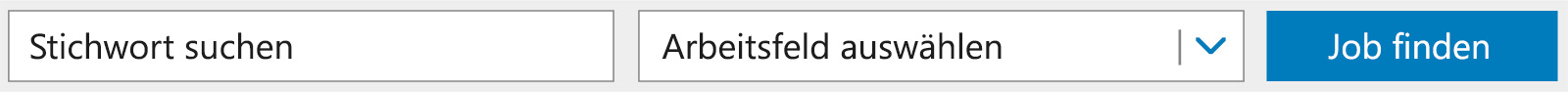 Eingabefelder und Filter für Jobsuche